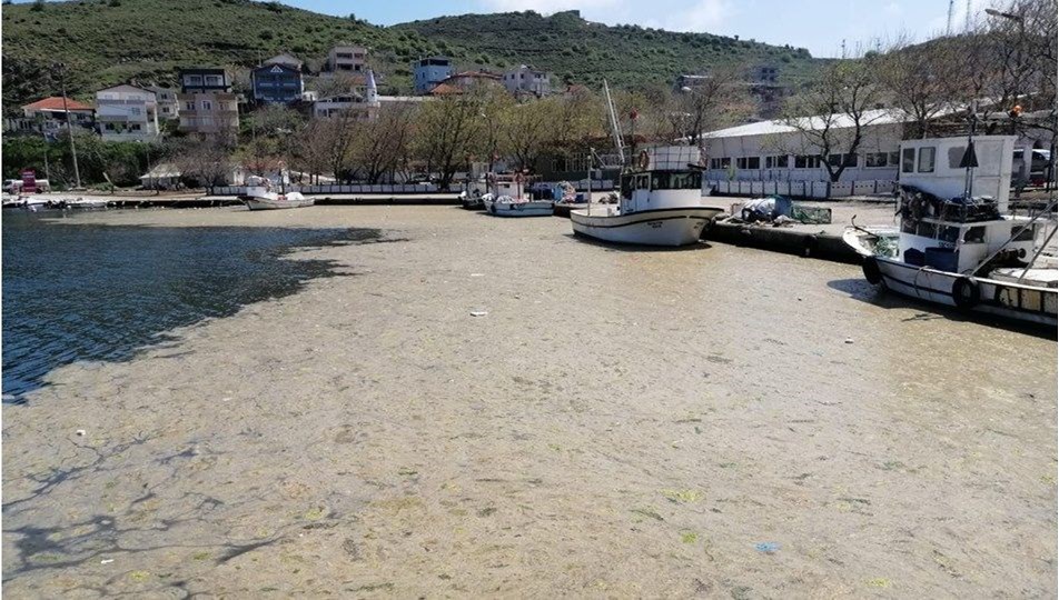Dr. Baran Bozoğlu'ndan kritik uyarı! 'Virüs yayabilir'