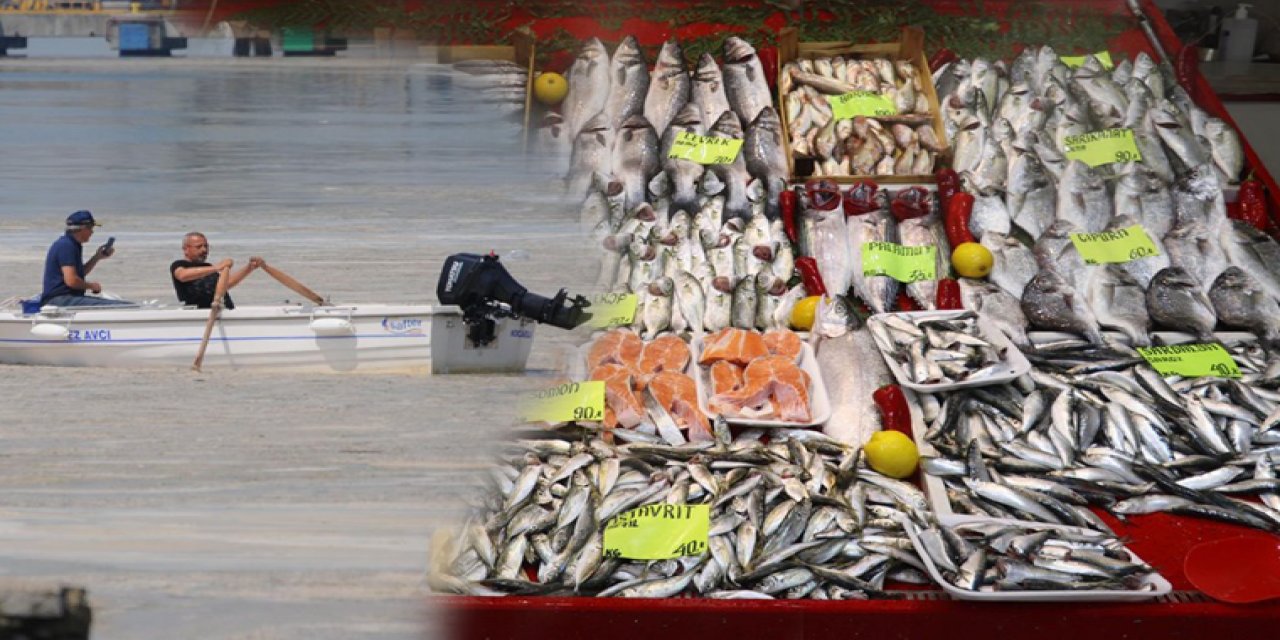 Müsilaj balıklarda zehir etkisi yaratır mı? Uzmanı yanıtladı!