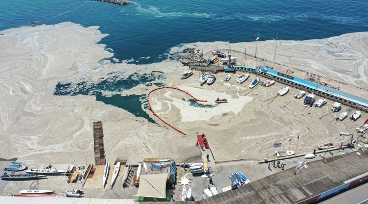 Marmara Denizi hakkında en kötü senaryo açıklandı! 'Önlem alınmazsa...'