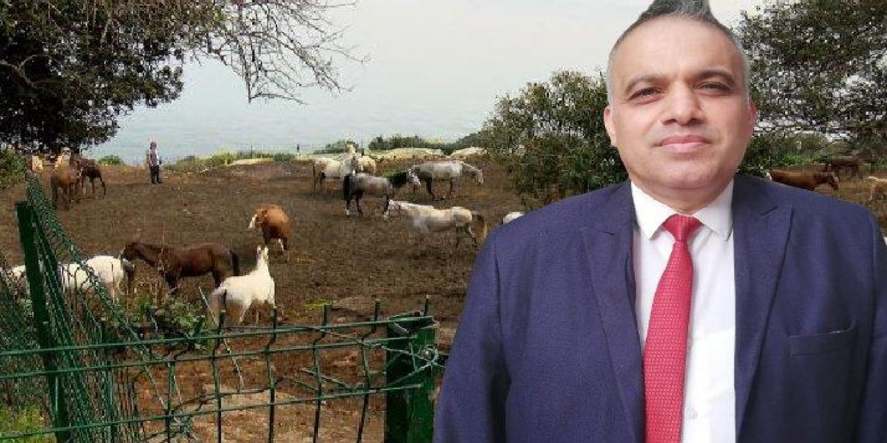 99 kayıp atla ilgili flaş gelişme! O müdürün ihracı istendi!