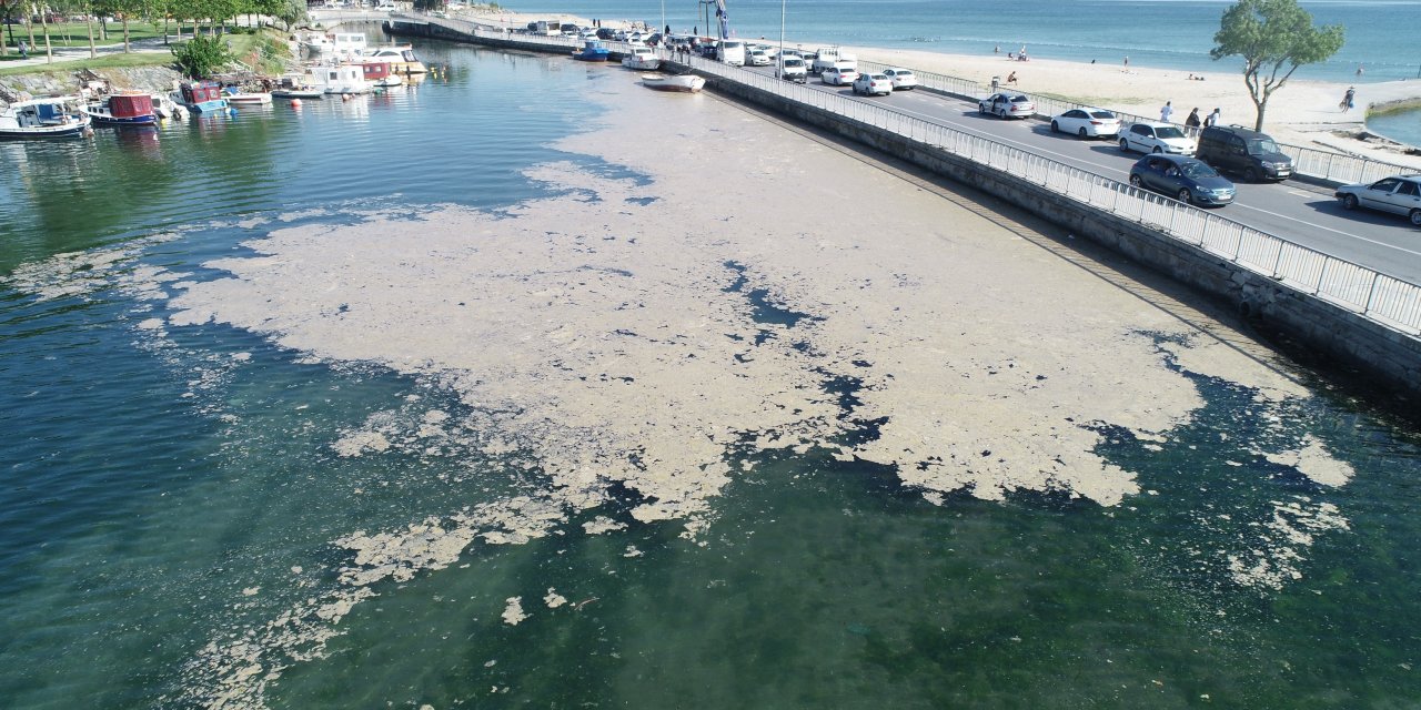 "Denize girmek bir an önce yasaklanmalı" Marmara Denizi için kritik uyarı!