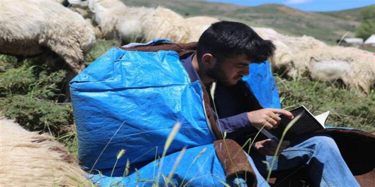 Çobanlık yaparken Robert’e girmişti... Azmiyle sınırları aştı! Hollanda Büyükelçiliği harekete geçti!