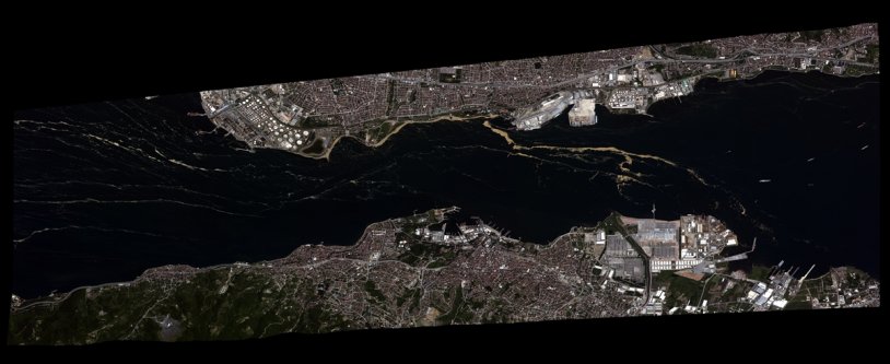 Marmara Denizi'ndeki ekolojik felaket uzaydan görüntülendi