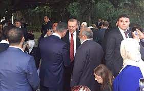 Sedat Peker'den çok konuşulacak Erdoğan iddiası! 'Tayyip Ağabey yollamıştı'