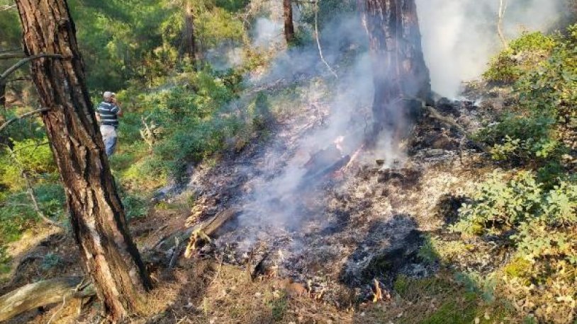 Eskişehir'de yıldırım düşmesi orman yangınına neden oldu