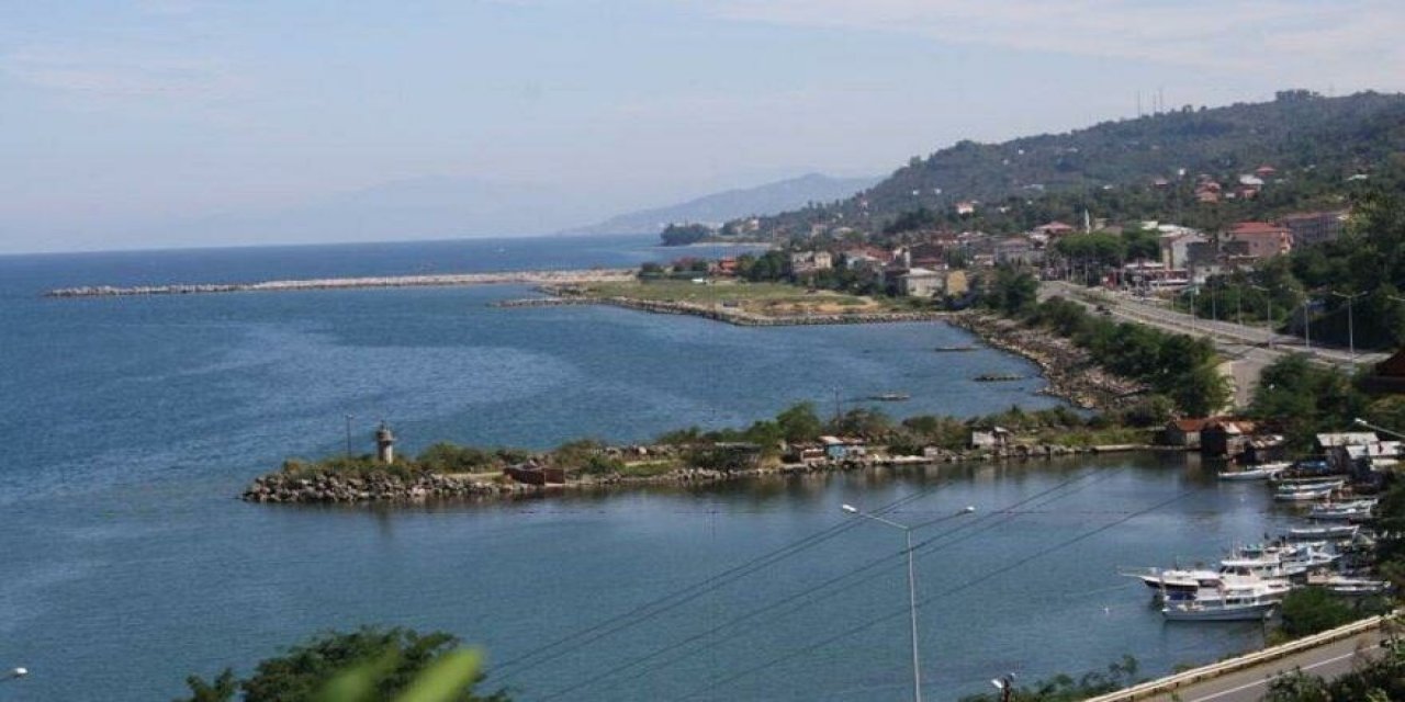 "Partizanlık değil mi?" 36 yıllık barınak Erdoğan'ın imzasıyla CHP'li belediyenin elinden alındı!