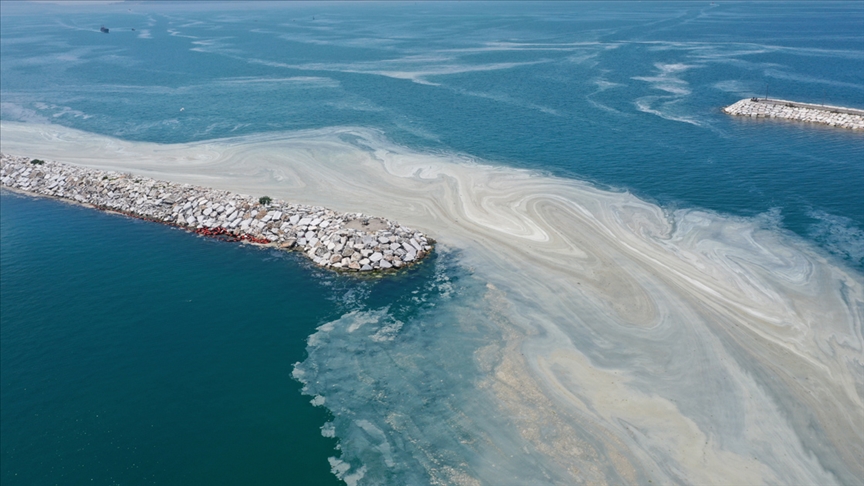Marmara Denizi Eylem Planı kapsamında bir tesisin faaliyetleri durduruldu