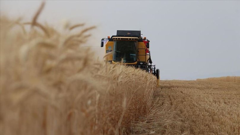 Tarım ürünleri üretici fiyatlarında artış oranı açıklandı