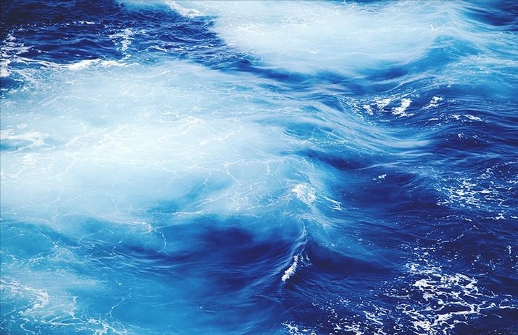 Çarpıcı araştırma sonucu! 'Dünyanın sıcaklığını dengeliyorlar'