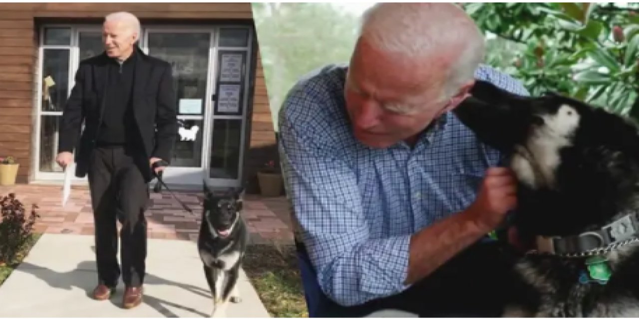 ABD Başkanı Joe Biden'ın acı günü: "Champ" adlı köpeklerinin öldüğünü açıkladı