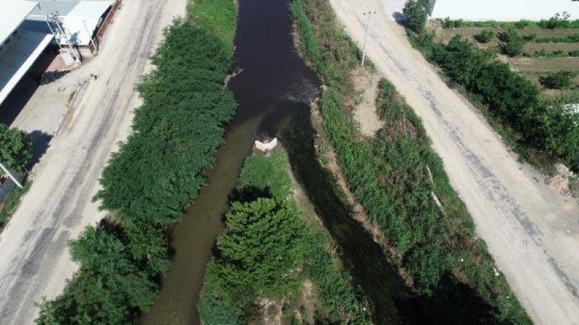 Nilüfer Çayı, atıklar nedeniyle siyaha büründü