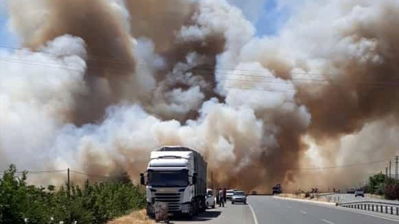 Elazığ'da 100 dönüm buğday ve arpa ekili alan yandı