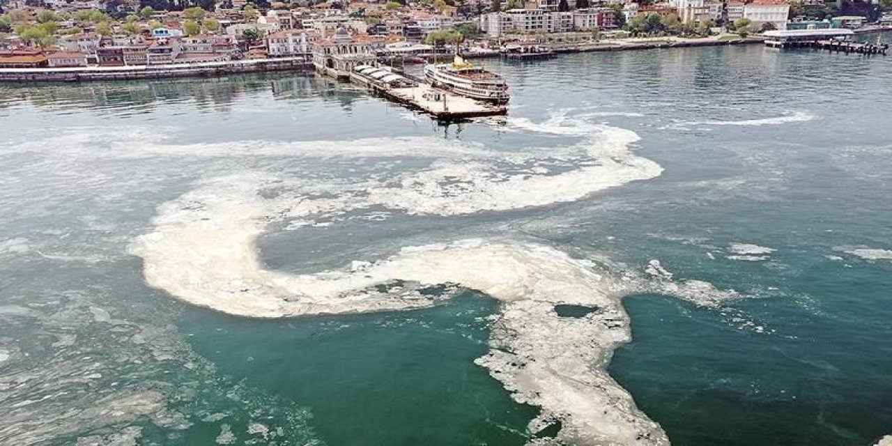 Uzmanlardan müsilaja karşı "midye" çağrısı!