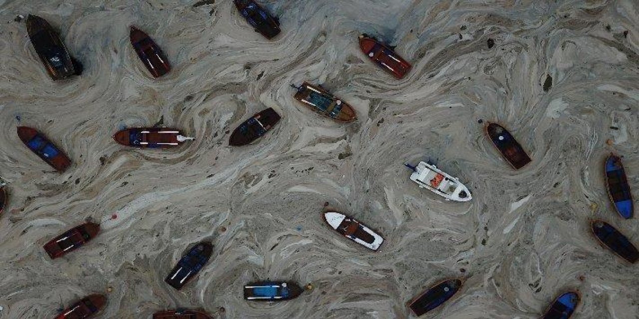 Bakan Murat Kurum’dan müsilaj açıklaması!