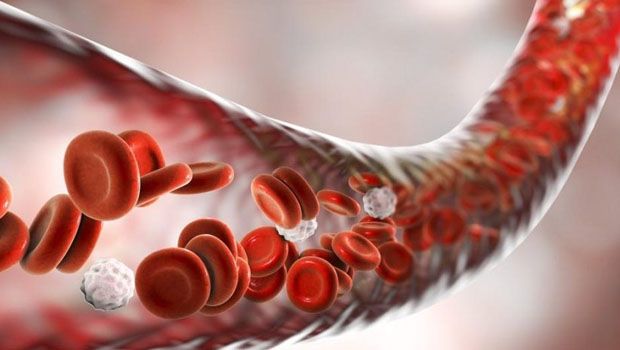 Hemofili araştırmasının sonuçları açıklandı