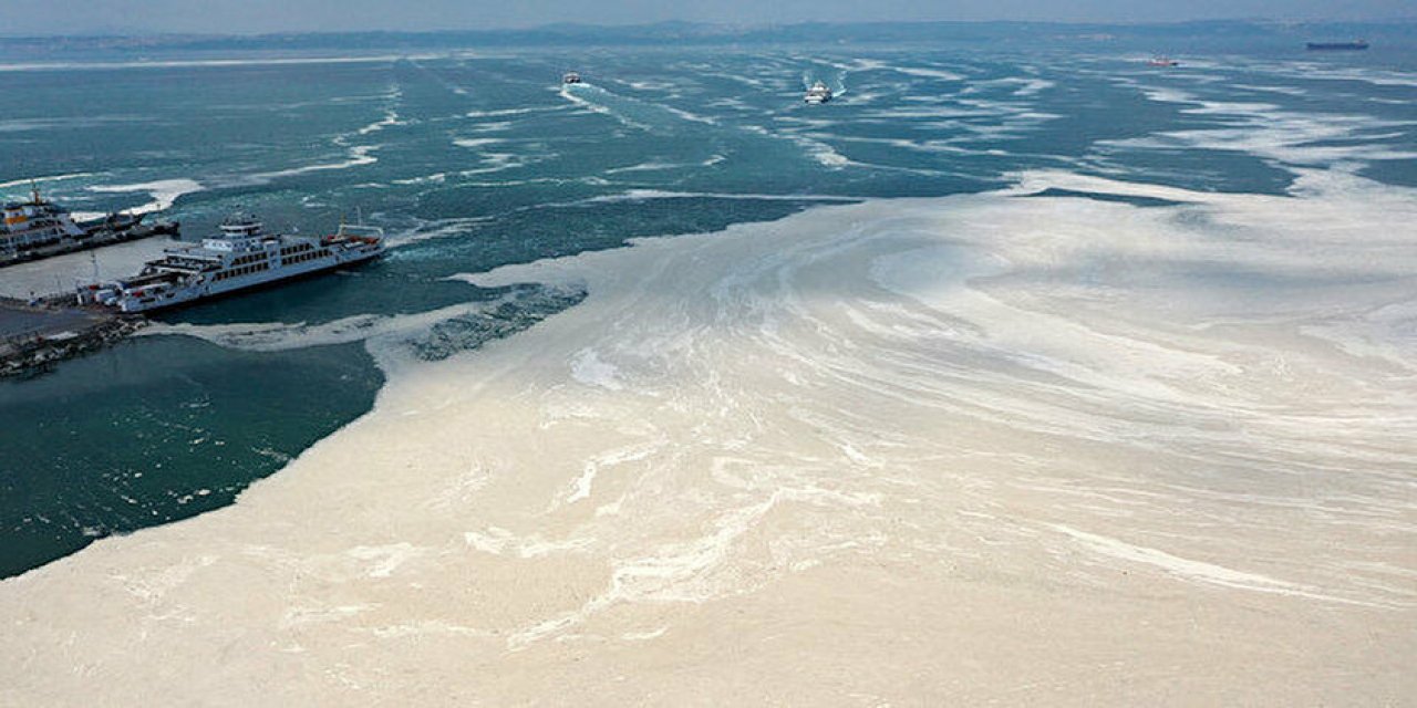 "Müsilaj" için 21 kişilik "Bilim Kurulu" oluşturuldu!