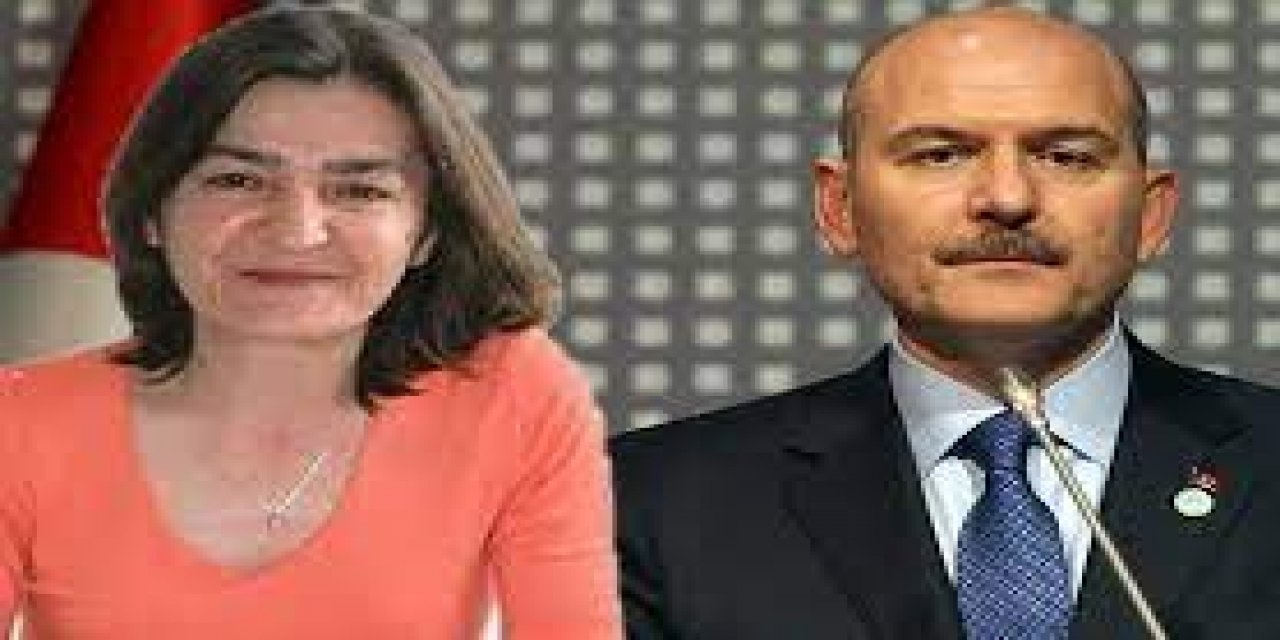 Süleyman Soylu'ya "1 liralık" tazminat davası açmıştı... İşte Müyesser Yıldız'ın açtığı davanın ilk duruşmasında yaşananlar...