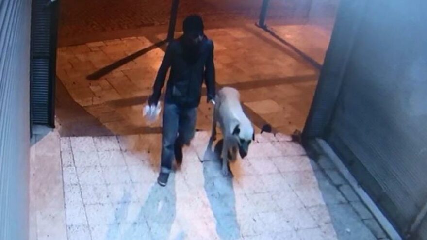 Tetikçi olduğu iddia edilmişti... Sokak köpeğini öldürüp tecavüz etmiş