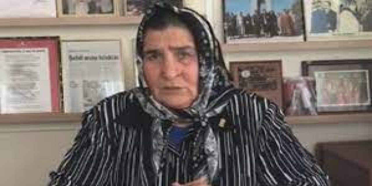 Şehit anasına "vatan haini" demişti... O sözler eleştiri sayıldı!