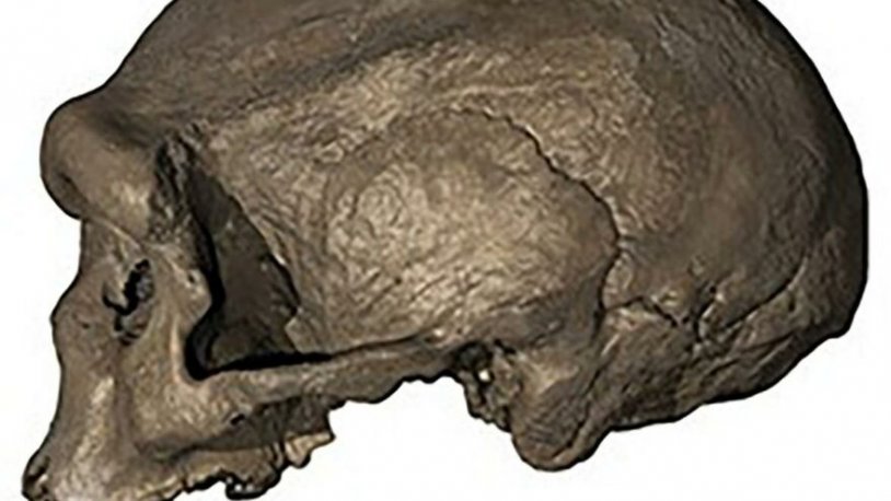 Çin’de 146 bin yıllık keşif! Yeni bir insan türüne ait olabilir mi?