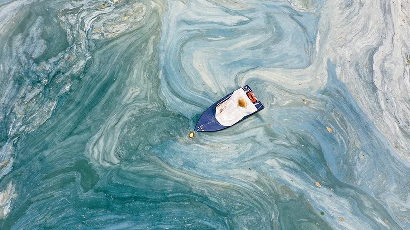 Murat Kurum açıkladı! Marmara Denizi'nde müsilaj temizliğinde son durum açıklandı