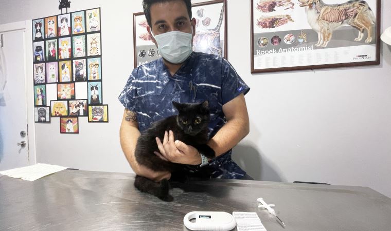 Zorunlu hale getirilmişti... Evcil hayvanlara mikroçip takılıyor