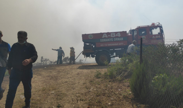 Osmaniye'de orman yangını; evler tahliye edildi