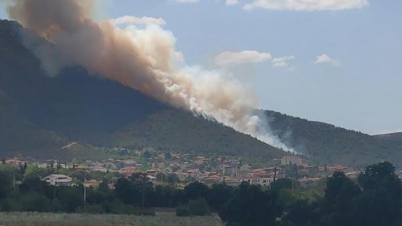 Denizli'de yerleşim yerleri yakınında orman yangını