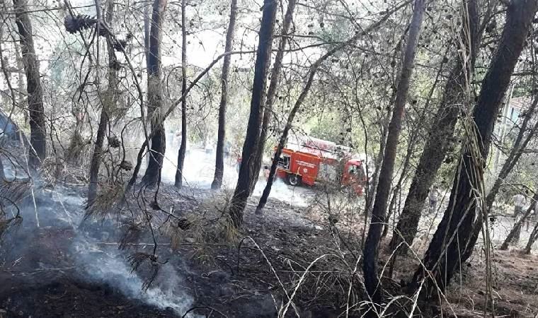 Fethiye'deki orman yangını söndürüldü