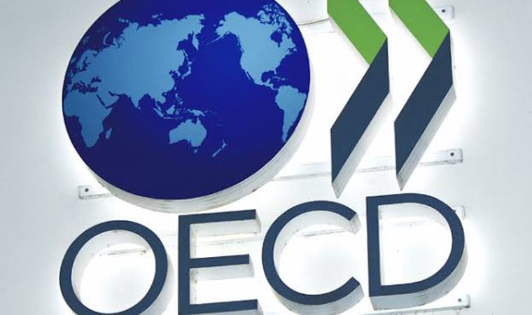 OECD'den Türkiye'ye acil çağrı 'Herhangi bir tedbir alınmadığı konusunda da ciddi endişeler var'