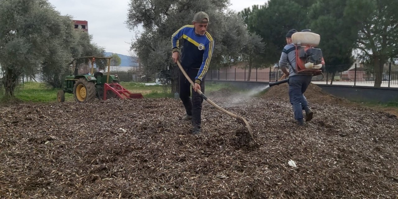 Herkes çöp diye yakıyordu... Çok değerli bir gübre olduğu ortaya çıktı!