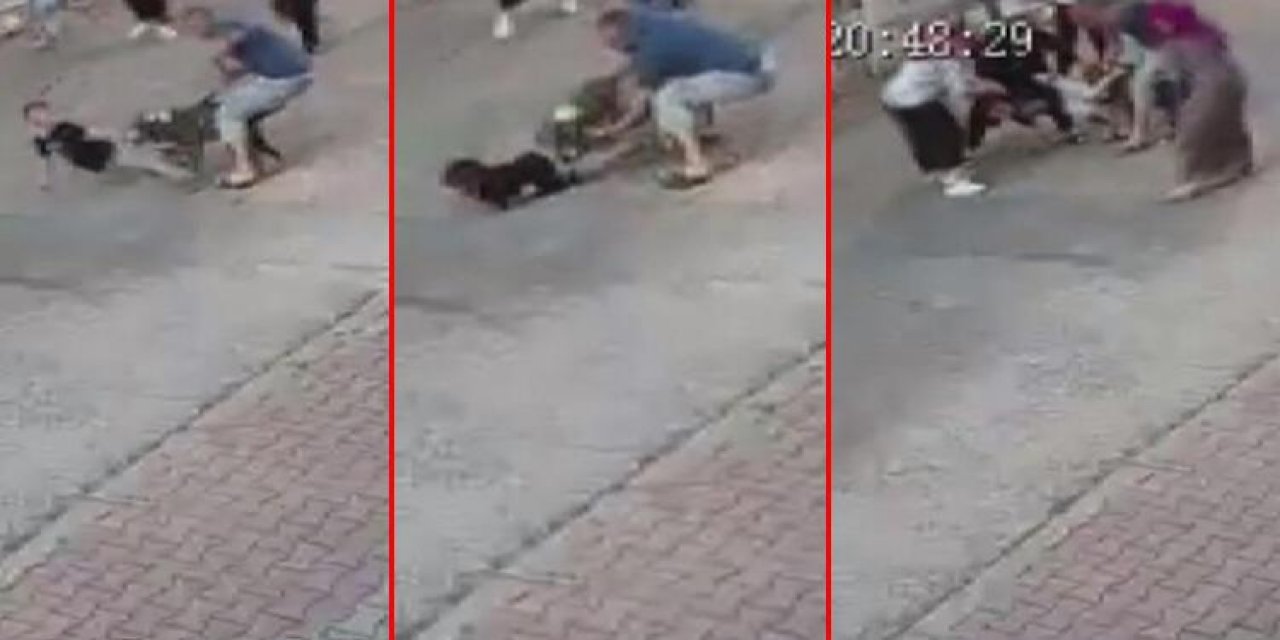 Dehşet anları kamerada! Pitbull sokakta oynayan çocuğa saldırı!