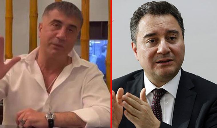 'Bakın 2 ay geçti böyle bir süreç yok' Ali Babacan’dan Sedat Peker açıklaması