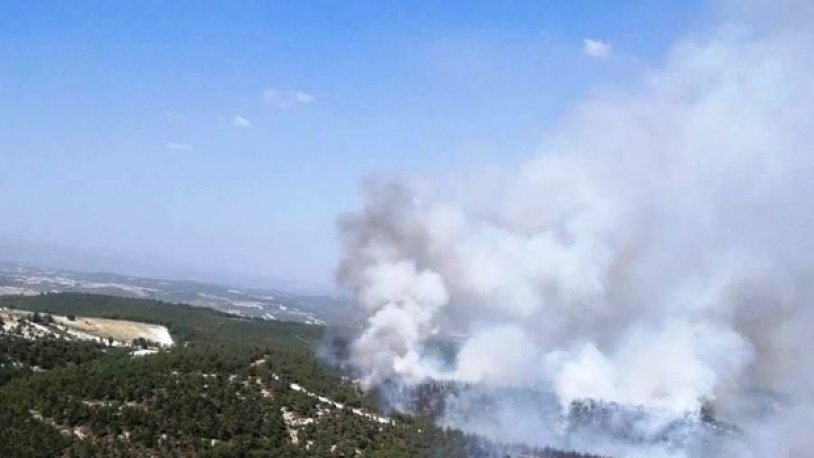 Manisa'da iki ilçede orman yangını