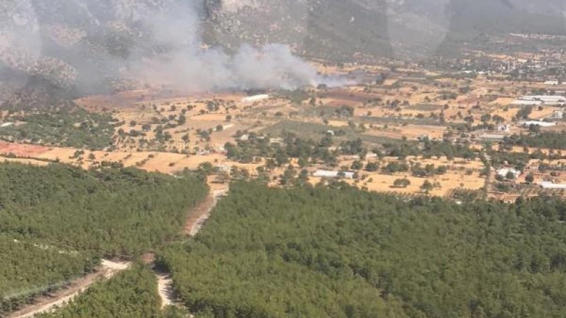 Kaş'ta 200 zeytin ağacı yandı