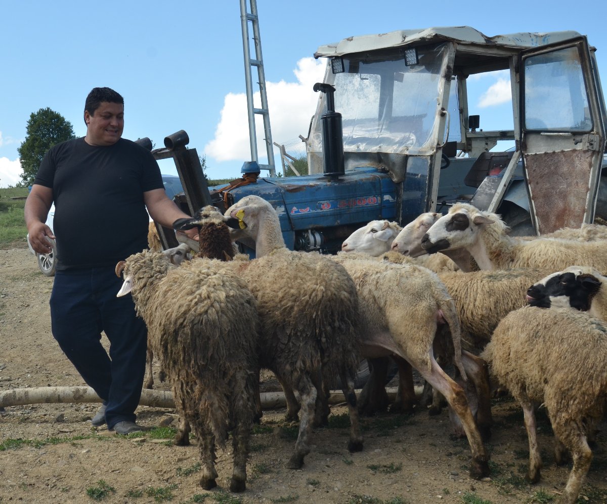 7 bin lira maaşı bıraktı; çobanlığa başladı