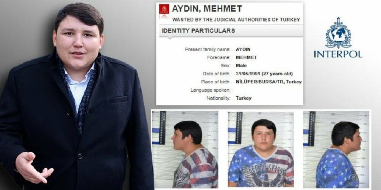 "Tosuncuk" hangi iddialarla karşı karşıya?