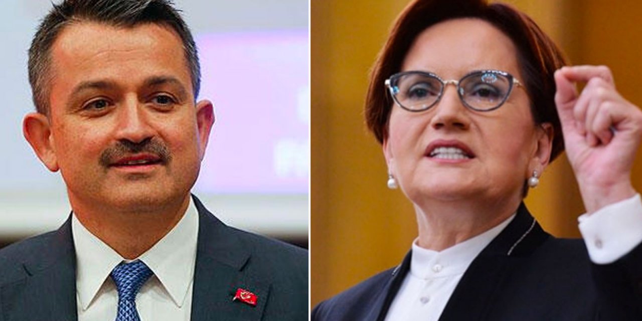 Sözleri iktidarı kızdırdı! Bakan Pakdemirli’den Meral Akşener’e "akıllı yangın" tepkisi! Seni Allah’a havale ediyorum