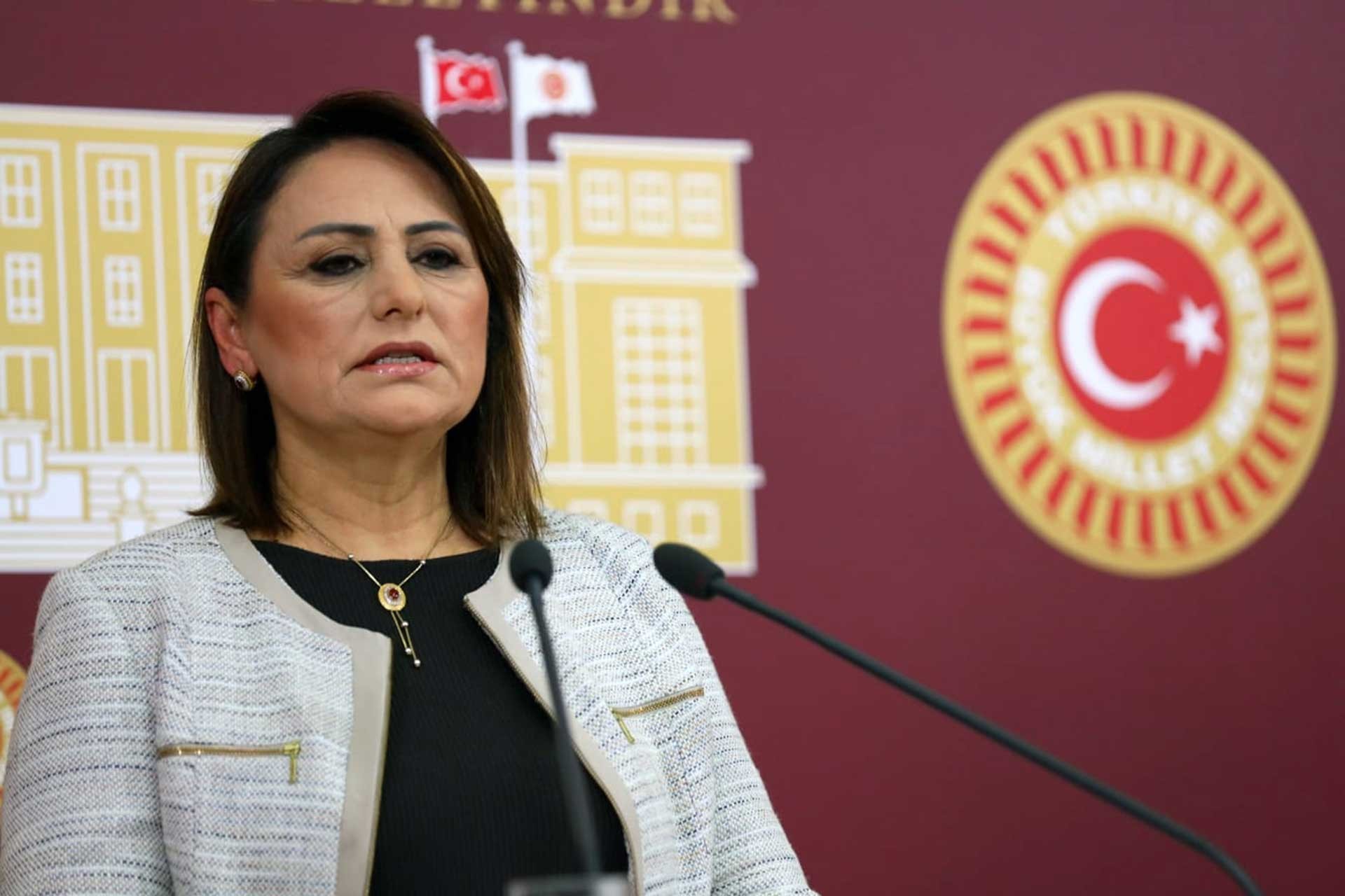 'Türkiye'nin enerji güvenliği tehlikede!'