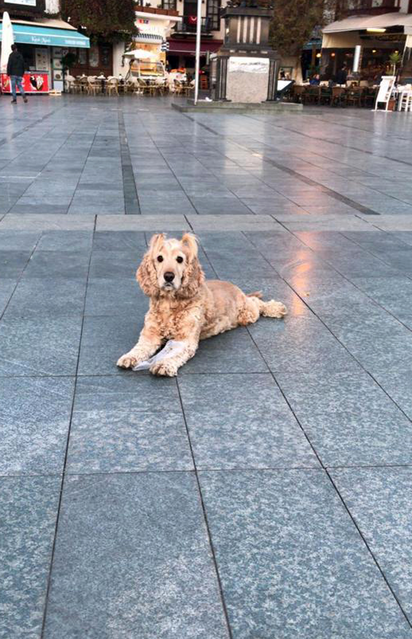 Mahkemeden bir garip karar; Kiraz'ın yaşamadığı siteye girişi yasaklandı