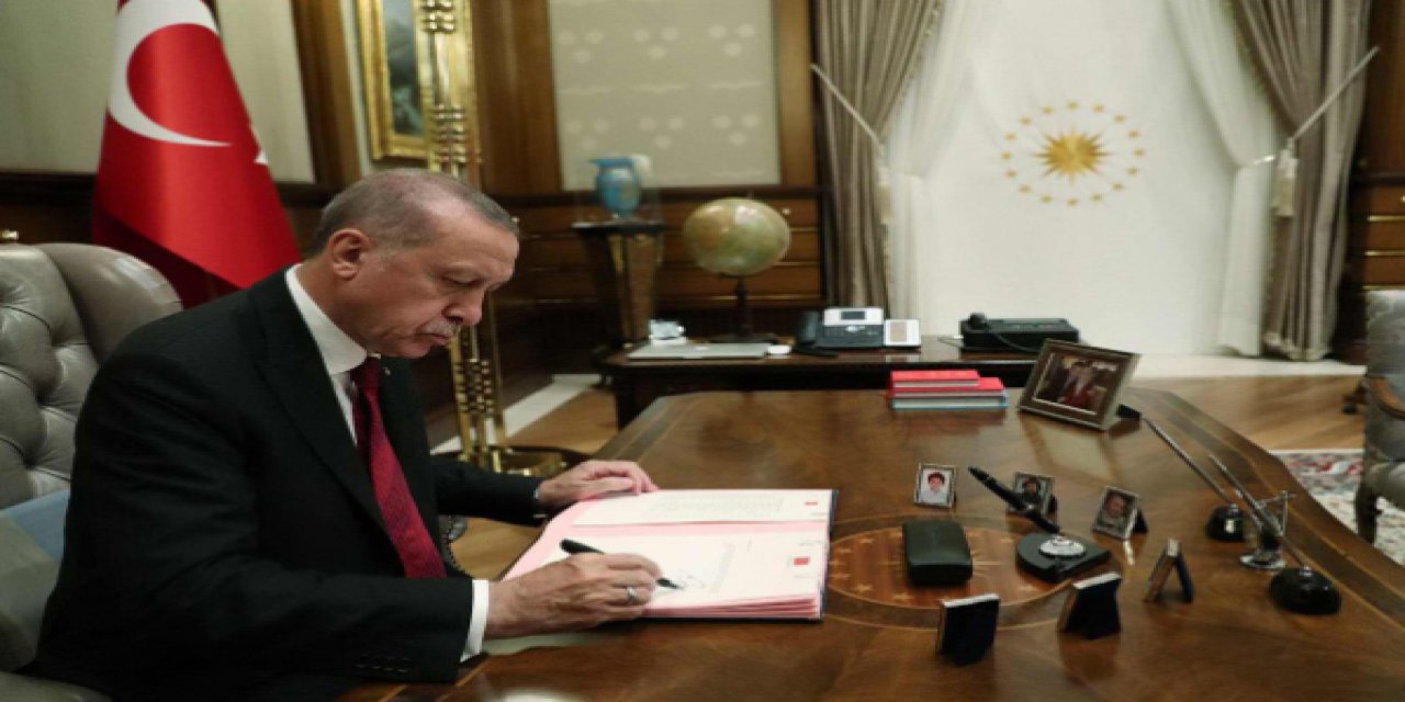 "Bu kadar kritik bir devlet kuruluşu neden özelleştirilir?" dedi ve... Aytunç Erkin yazdı: Erdoğan'ın akıl hocası