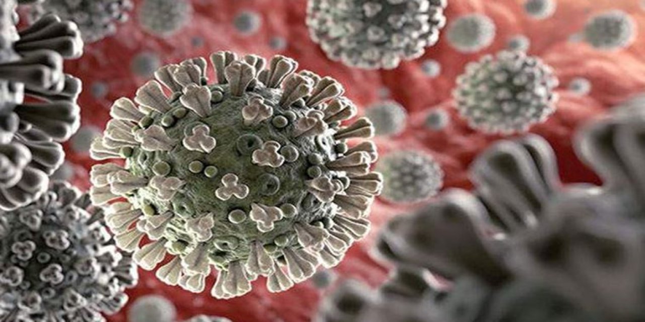 Dünya genelinde Delta varyantının kaç kişide görüldüğü belli oldu!