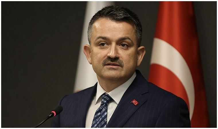 Bakan Pekdemirli'den açıklama! Marmara Denizi'nde tutulan balıkların yenmesi güvenli mi?