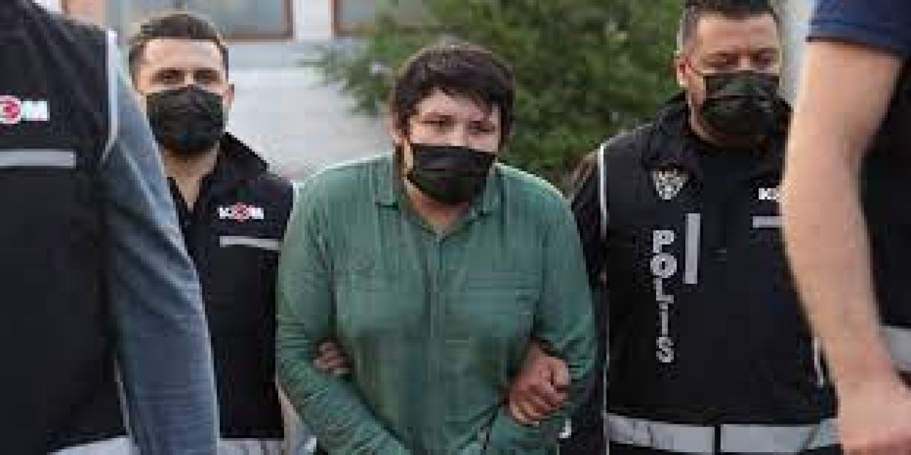 Brezilya'daki o detayı ilk kez anlattı! "Tosuncuk" Mehmet Aydın'dan hakime ilginç cevap! "Suçsuzum. Hesabını veremeyeceğim hiçbir para yoktur"