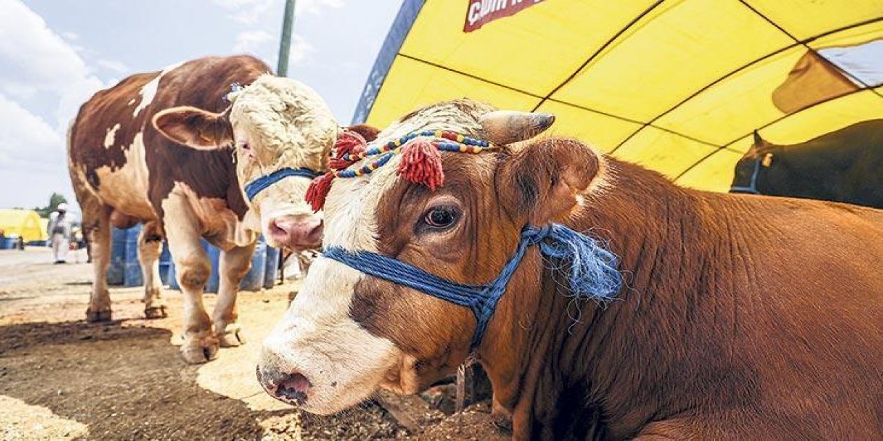 Kurban Bayramı ile ilgili flaş gelişme: Bu sene yasaklandı!