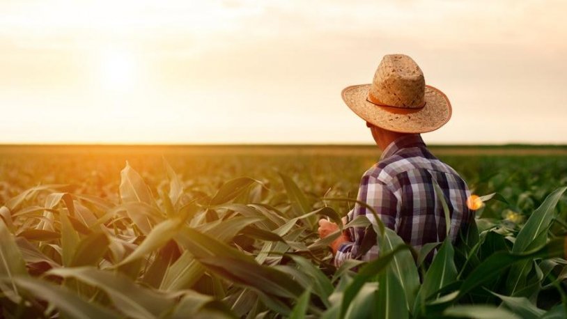 Durum vahim! Son bir yılda 46 bin çiftçi tarımı bıraktı