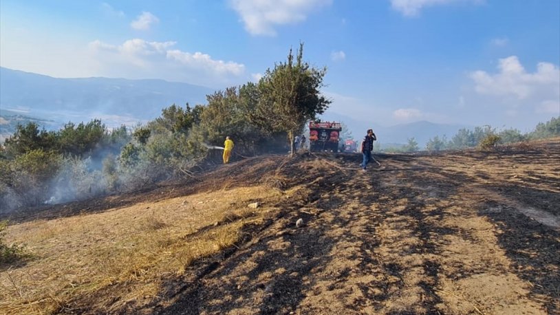 Osmaniye'de orman yangını