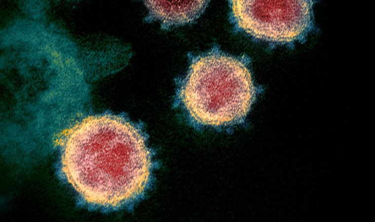 Valilik 'varyant' uyarısı yaptı