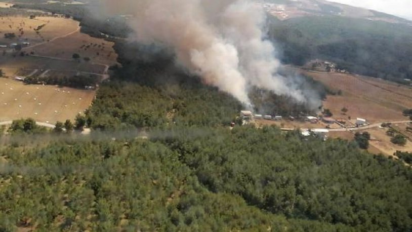 İzmir'de orman yangını