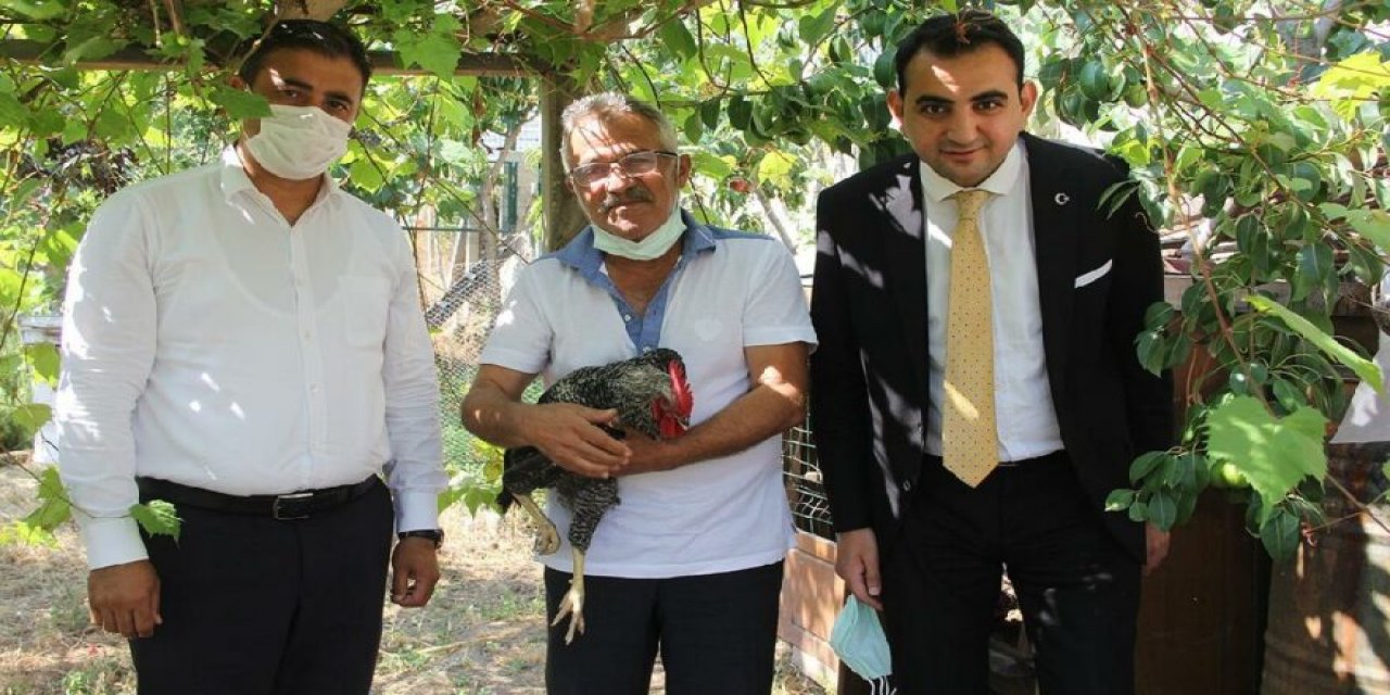 Akıllara durgunluk veren olay!  Herkes bu horozu konuşuyor... Yetkililer de şaşkın!